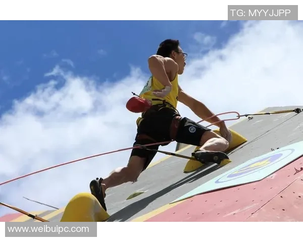 攀岩人生的高峰与低谷：陈丽的奋斗与成长之路