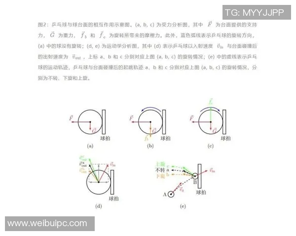 重庆乒乓球队在奥运会上的耐力表现分析与启示 重庆乒乓球队在奥运会上的耐力表现分析与启示