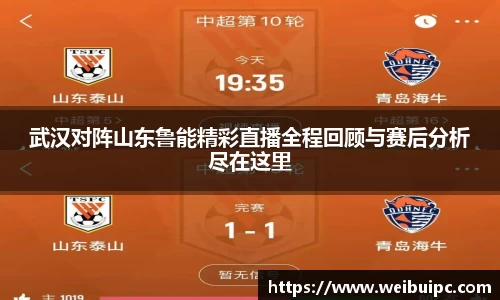 武汉对阵山东鲁能精彩直播全程回顾与赛后分析尽在这里