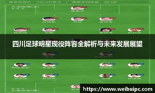 四川足球明星现役阵容全解析与未来发展展望